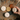 Shampoo and Body Bars