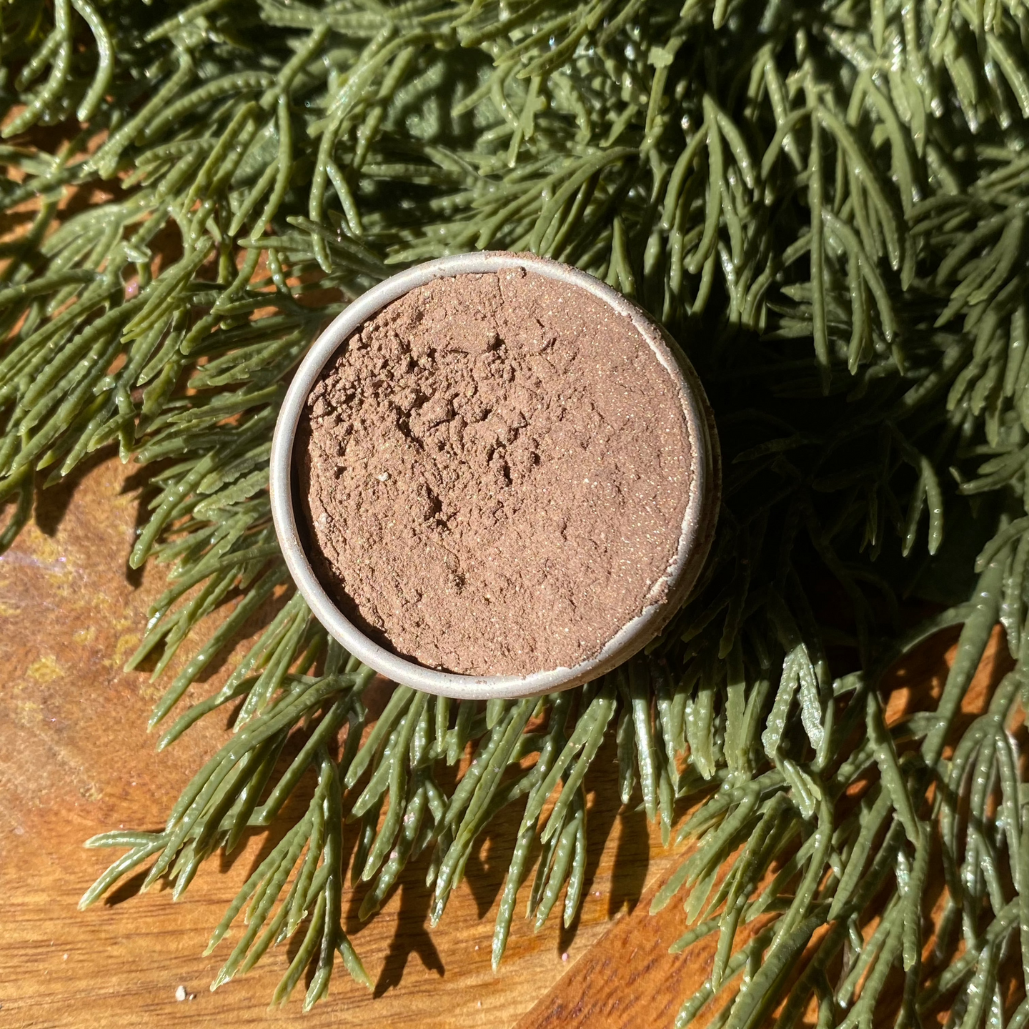 A close up image of a small metal tin containing a slightly shimmering brown powder resting on pine needles.