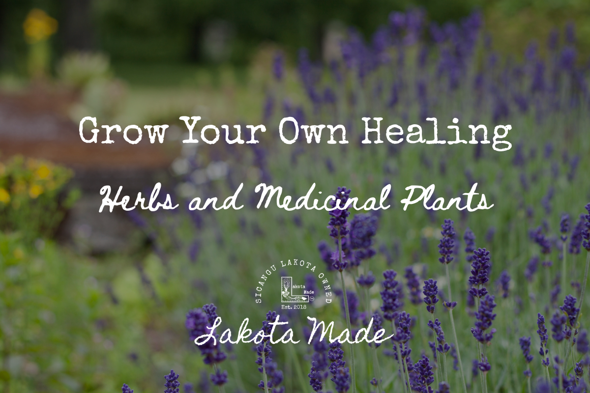 Grow Your Own Healing - Herbs and Medicinal Plants