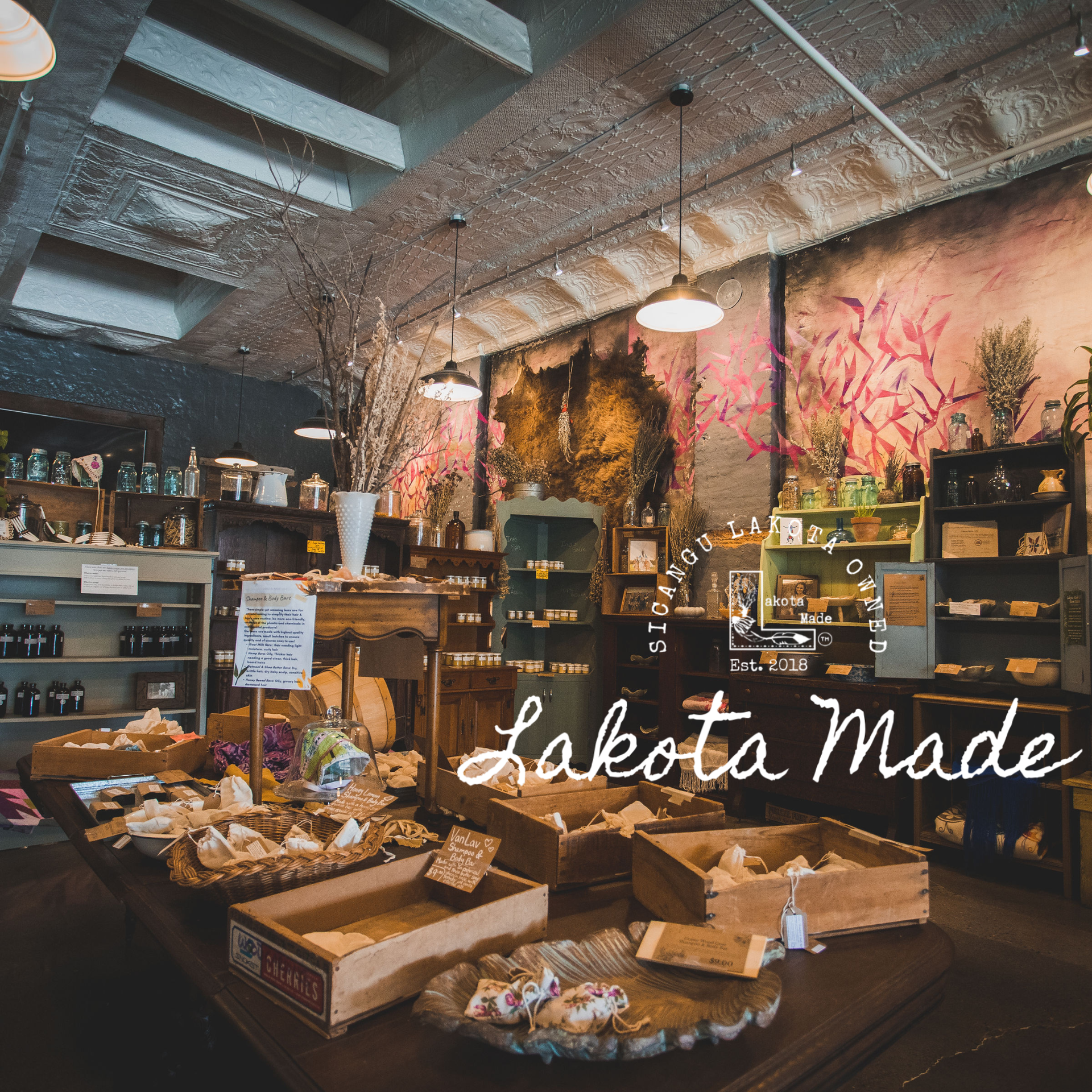 Wetu Is Here. Spring, the Sky, the Plants, and What We're Making