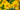 Arnica Flower Products