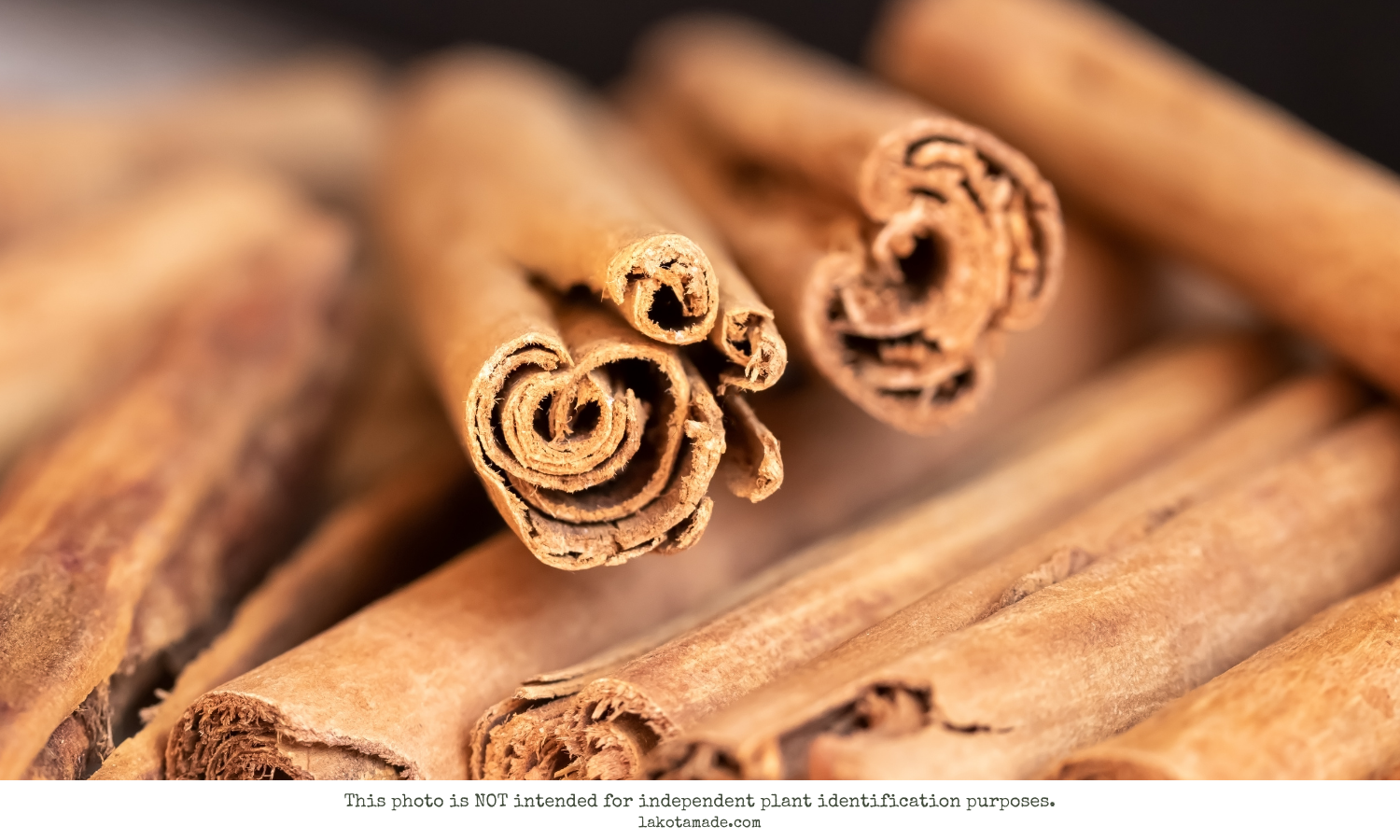 Cinnamon Products