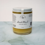 Lead Plant Healing Salve