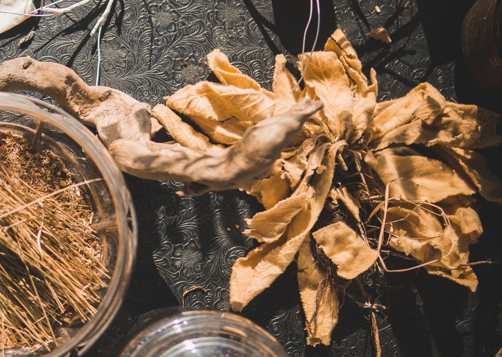 A bunch of dried mullein leaves on a black background.